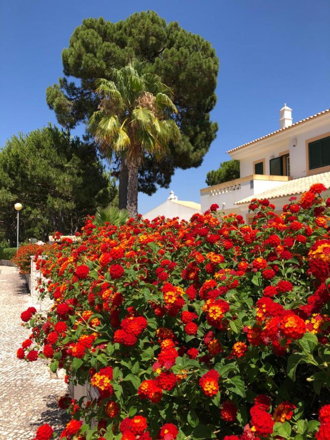 Algarve Albufeira, Quiet Apart With Pool At 10 Mn Walk From Praia Da Falesia Оллюш-де-Аґуа Екстер'єр фото
